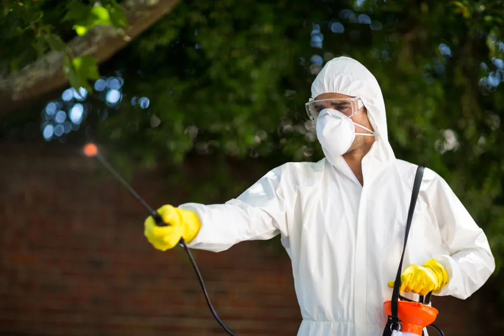Dedetizadora no Jardim Aeronave de Viracopos